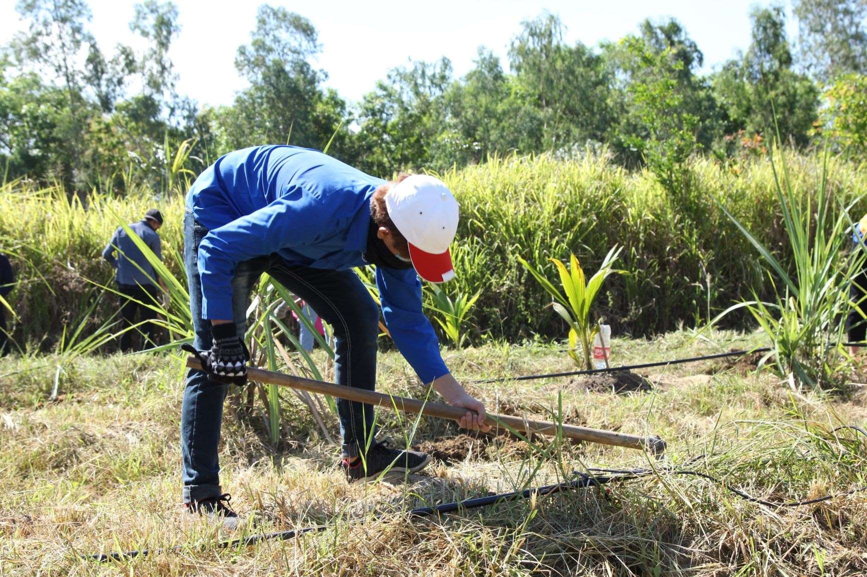 Chuyến trồng rừng ươm mầm xanh cho tương lai